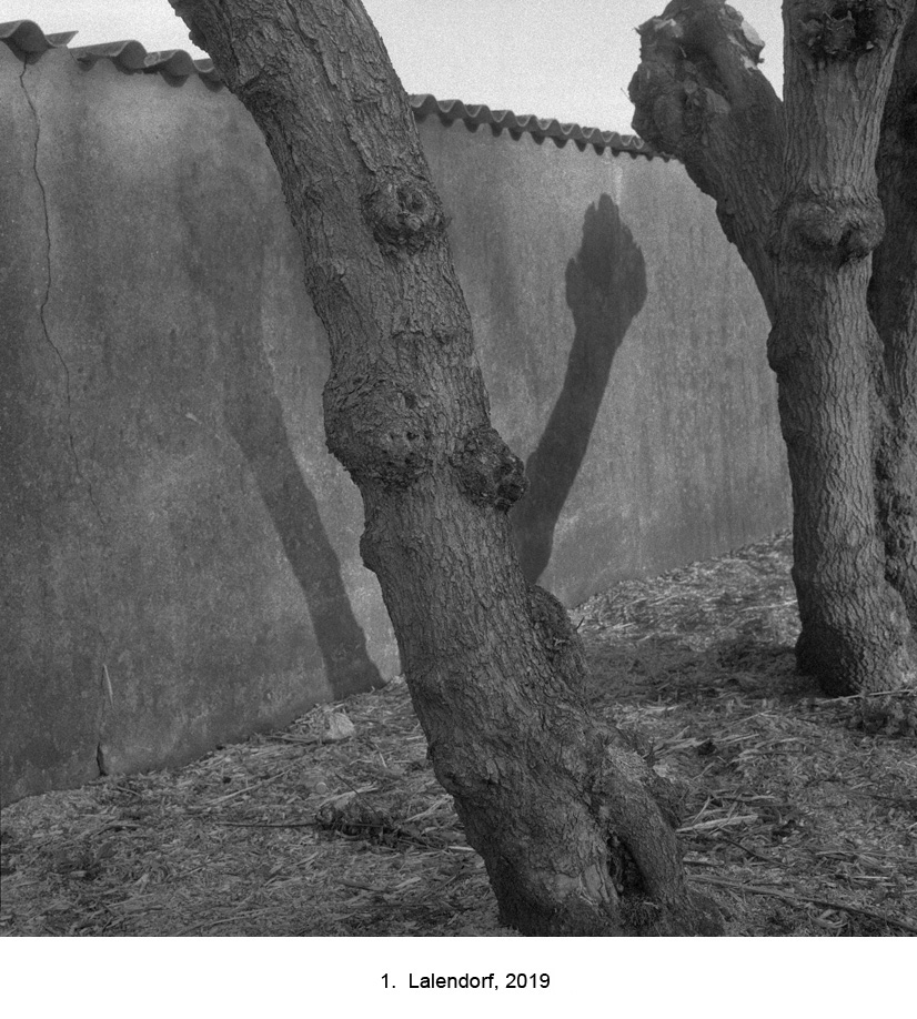 1.  Lalendorf201901109