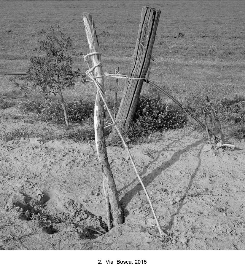 Via Bosca 201816407 kopia 2