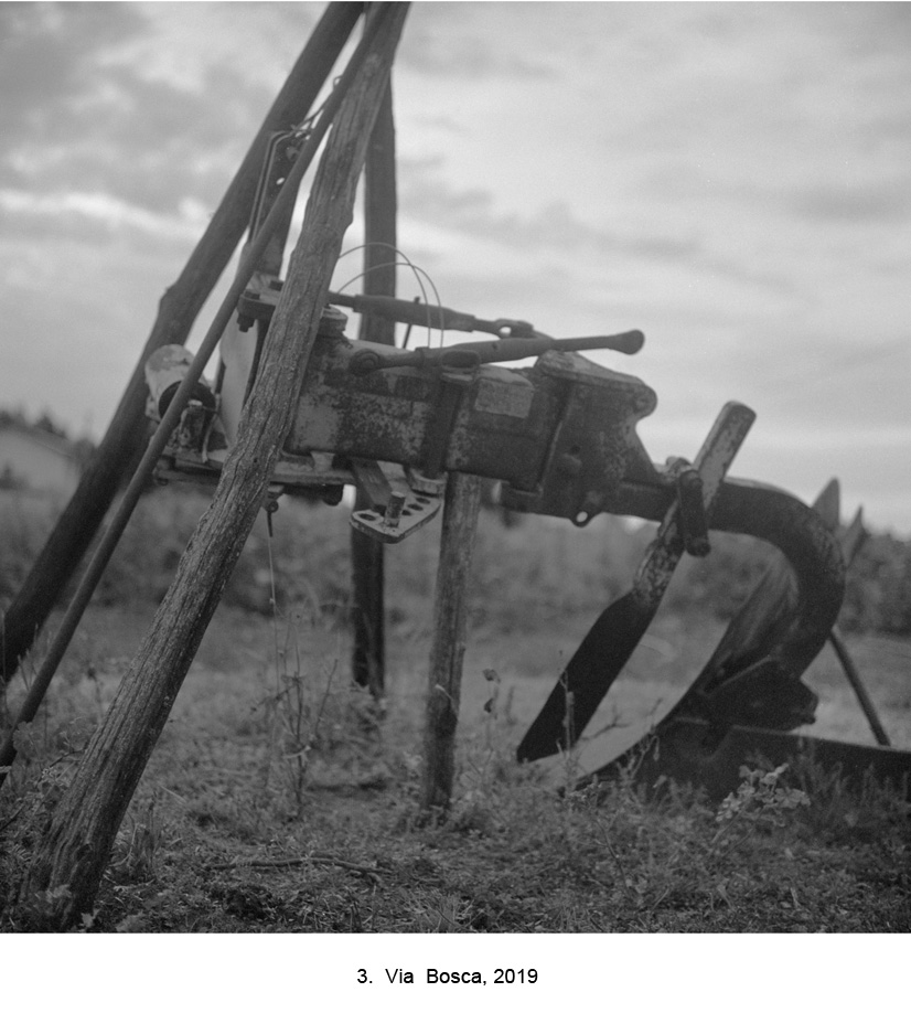 Via Bosca 201903210 kopia 2