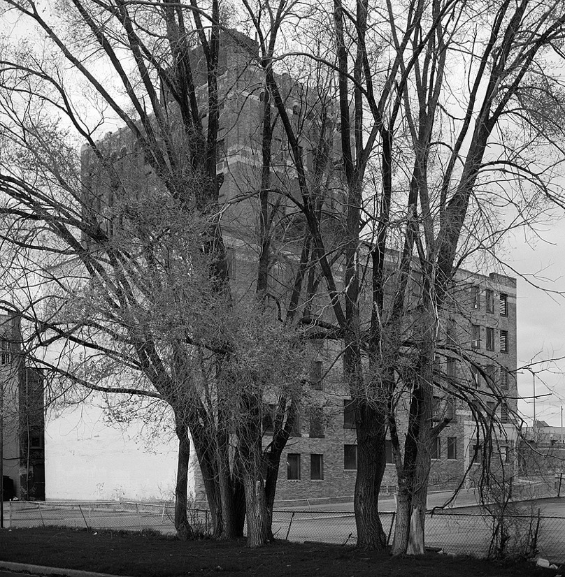 011 201003811.jpg