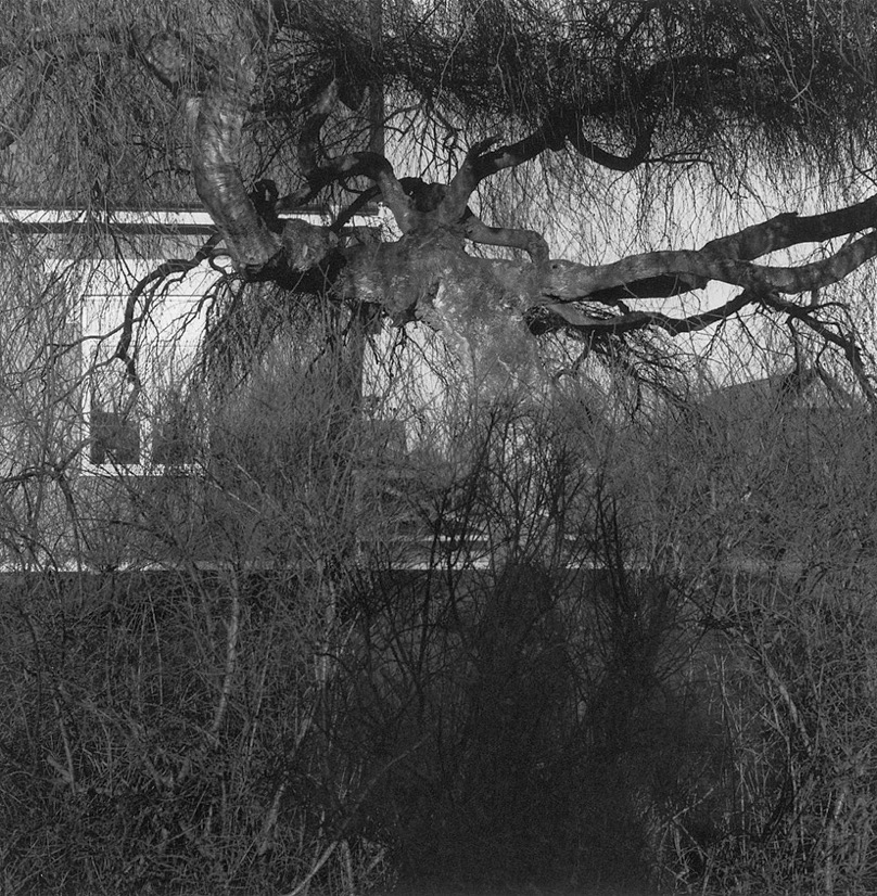 015.jpg