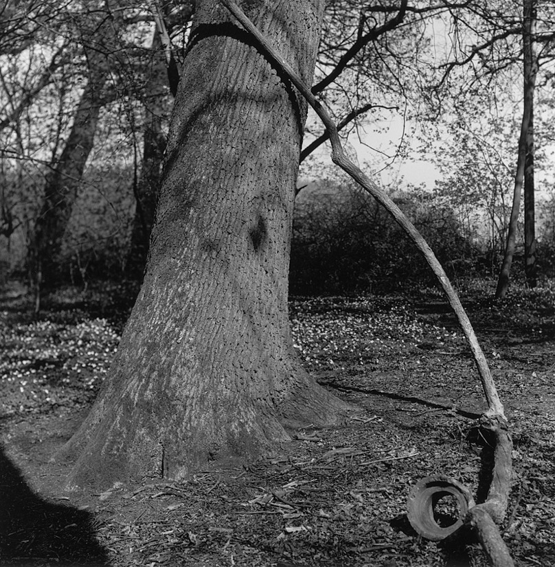 037.jpg
