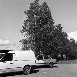 042.jpg