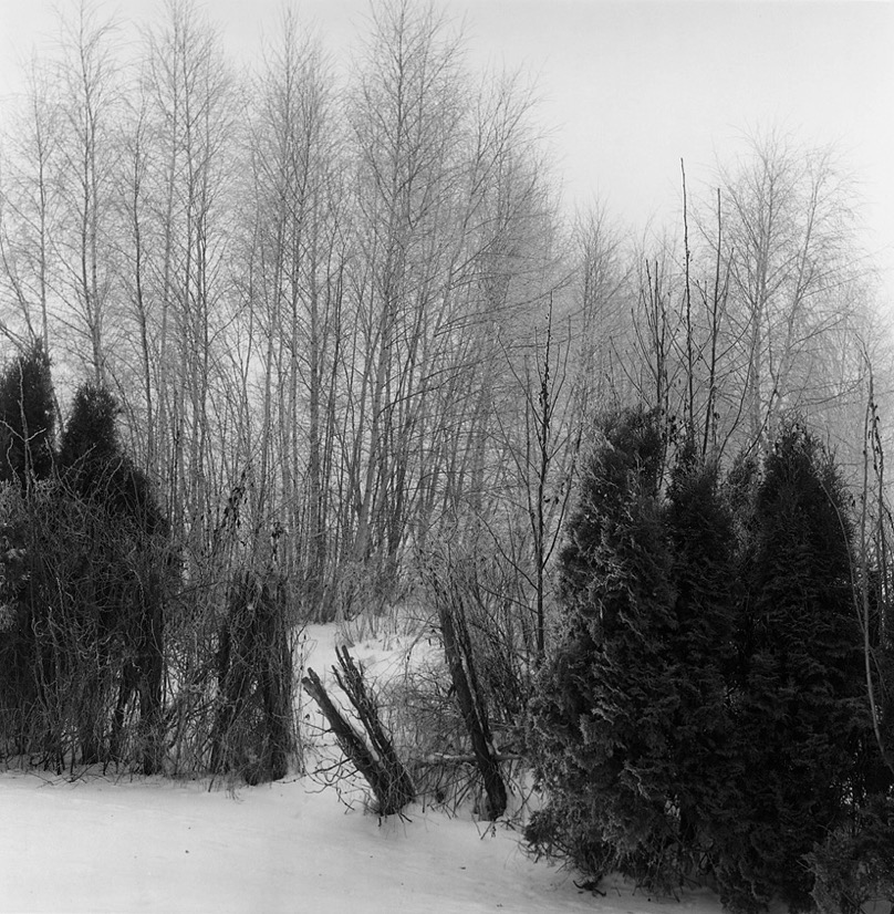 046.jpg