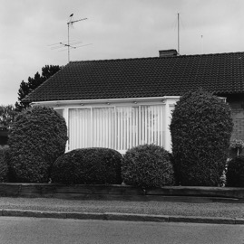 050.jpg