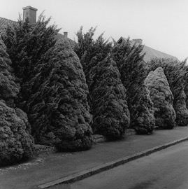051.jpg