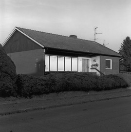 053.jpg
