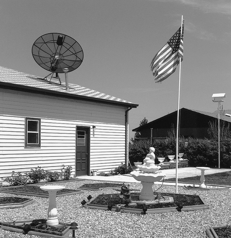 Bison / South Dakota