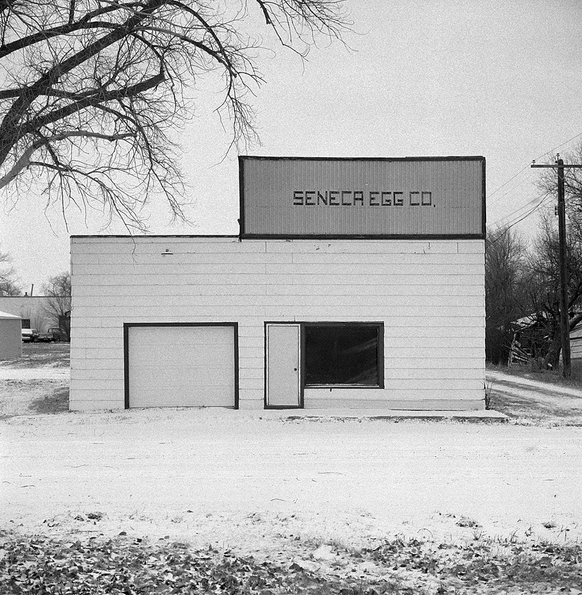 Seneca 201811303.jpg