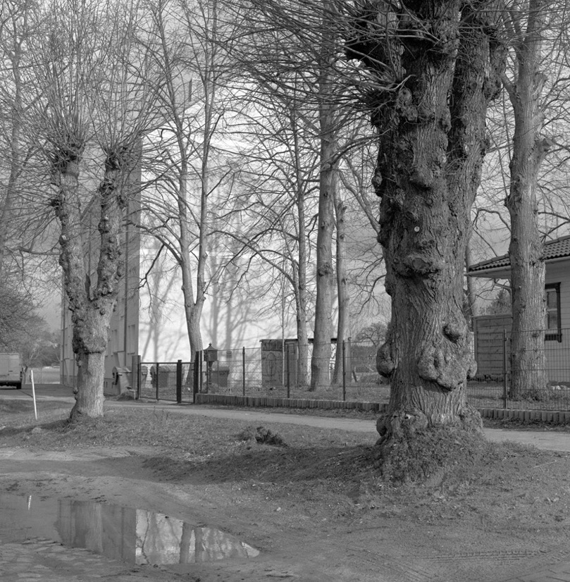 Biesenthal 201601605.jpg