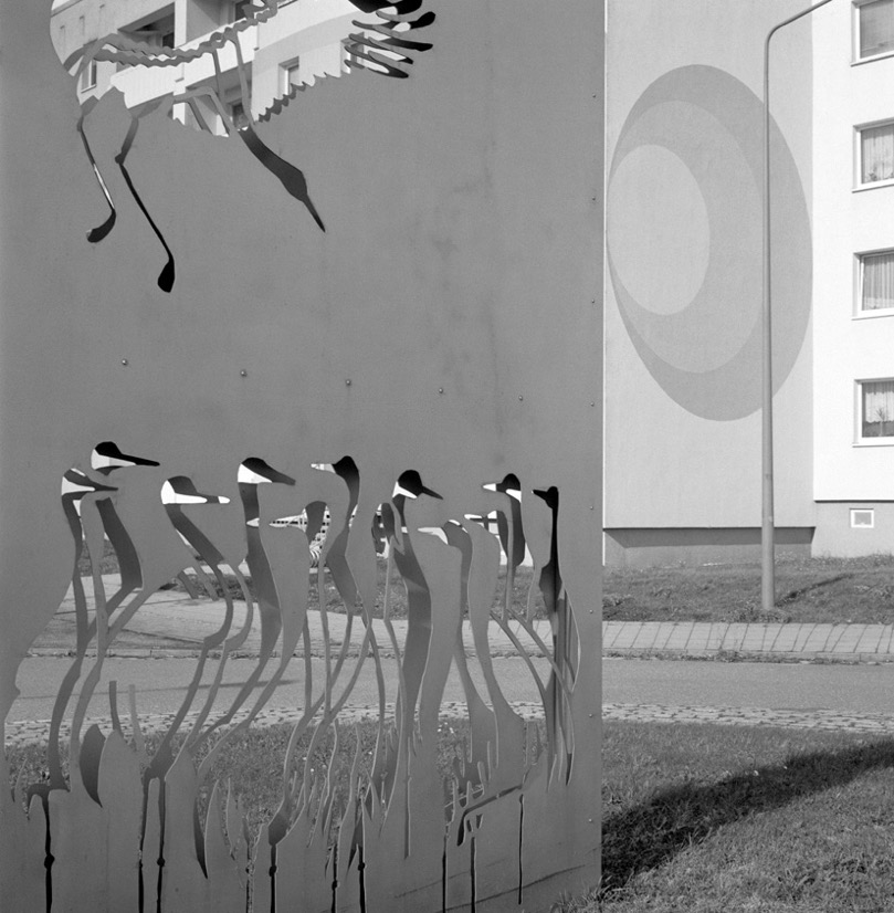 Kronskamp 201720202.jpg