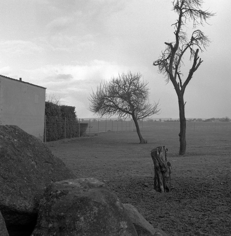 Neuküstrinchen 201602912.jpg