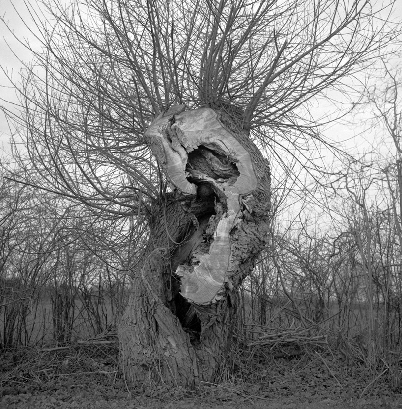 Sieverhagen 201303409.jpg