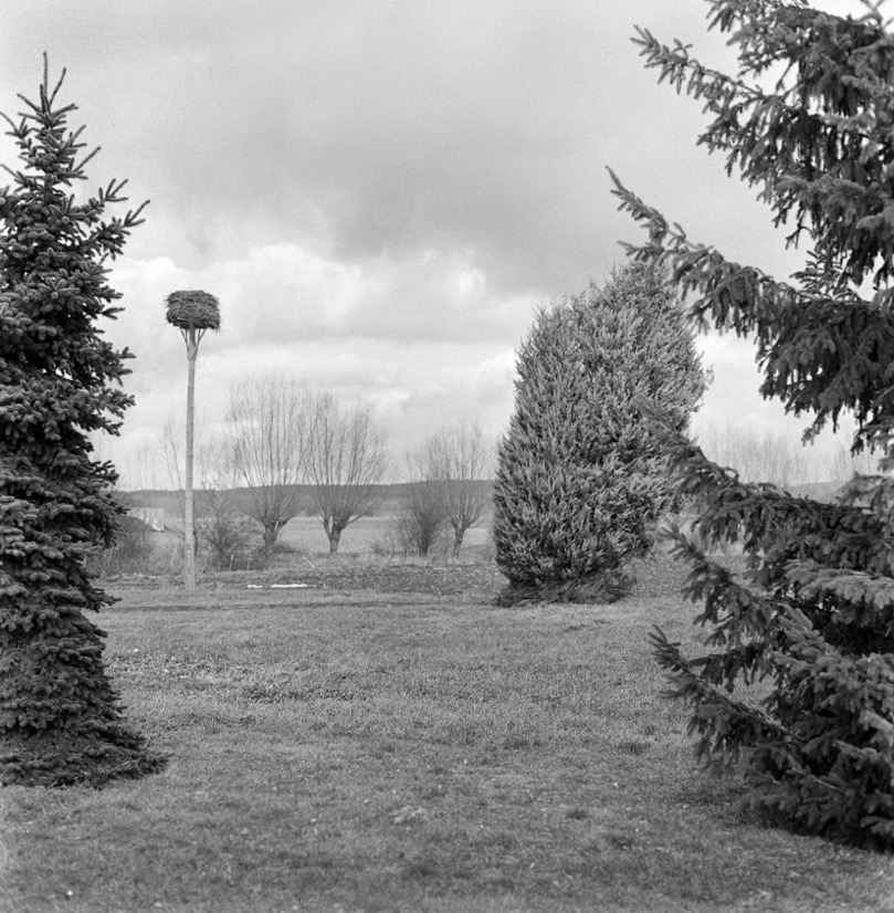 Zächericke Loose 201602009.jpg