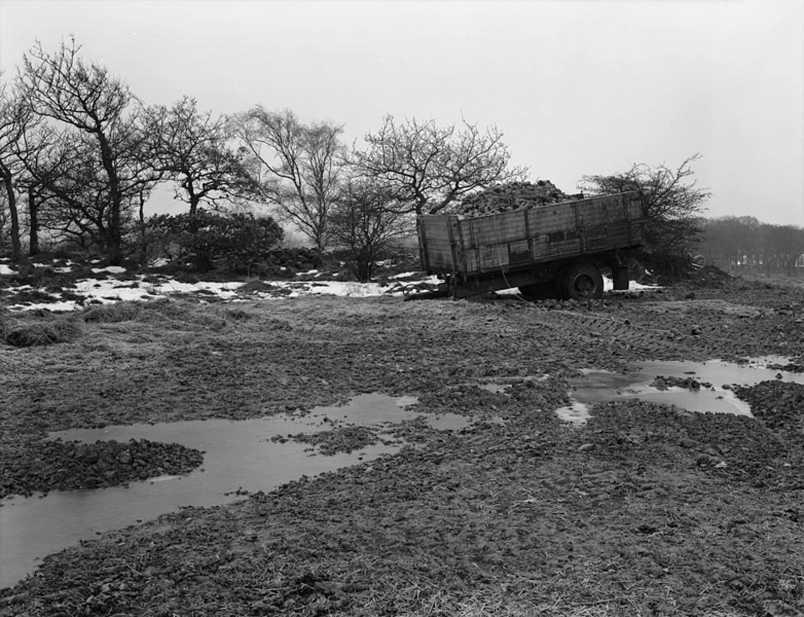 Loading Image