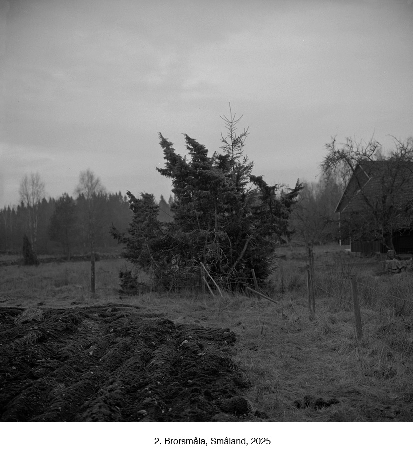 2, Brorsmåla