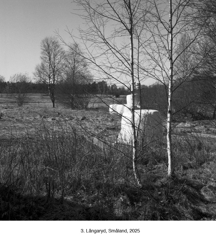 3. Långaryd)