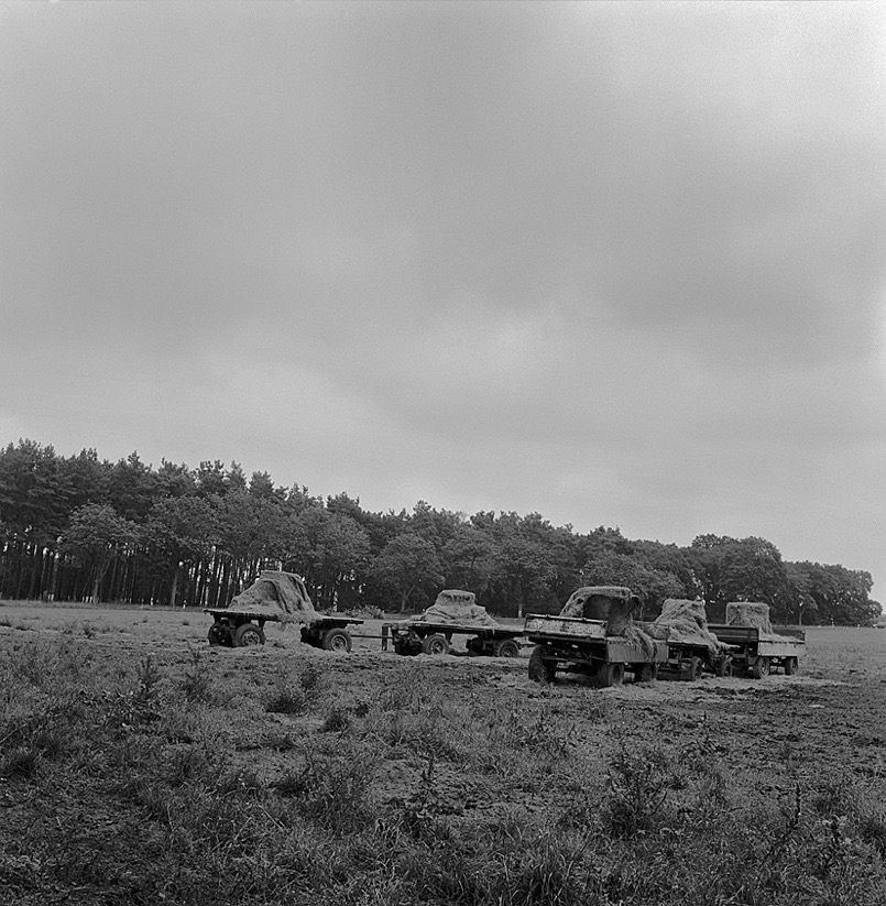 Bergzow