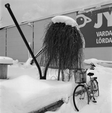 201022909.jpg