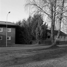 201320310.jpg
