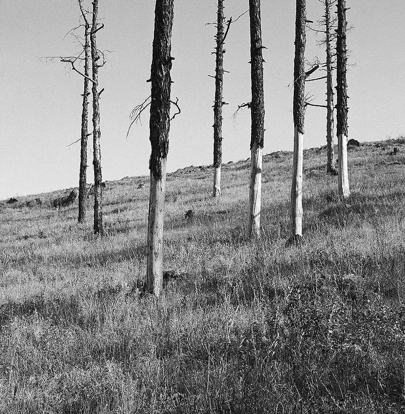 200814705.jpg