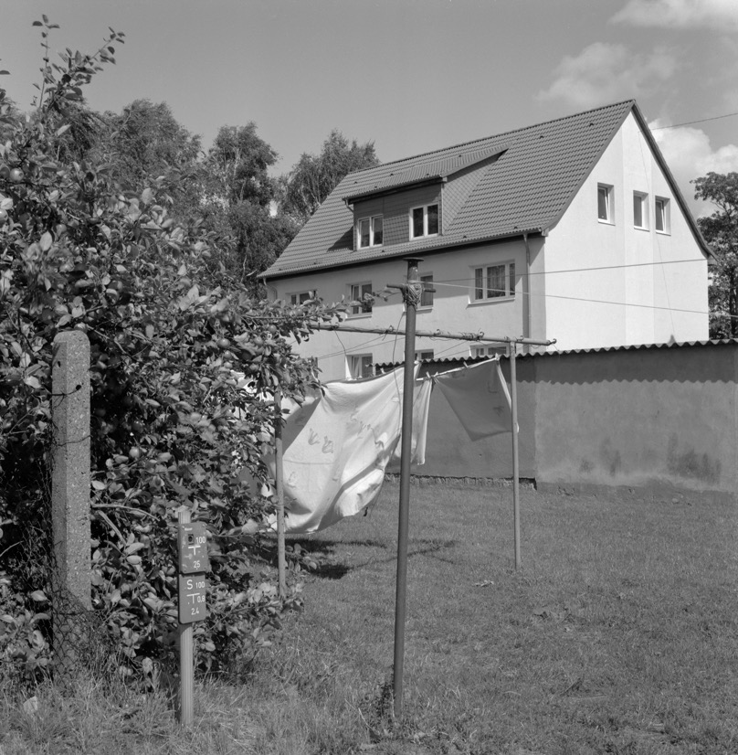 2007